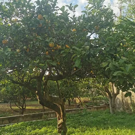 Ferienhaus Indipendente Con Giardino Ed Orto Procida