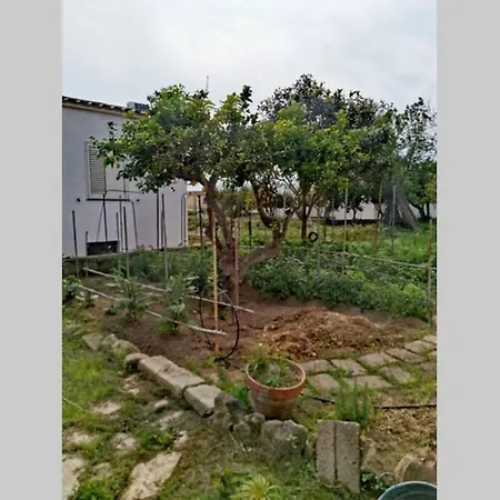 Ferienhaus Indipendente Con Giardino Ed Orto Procida