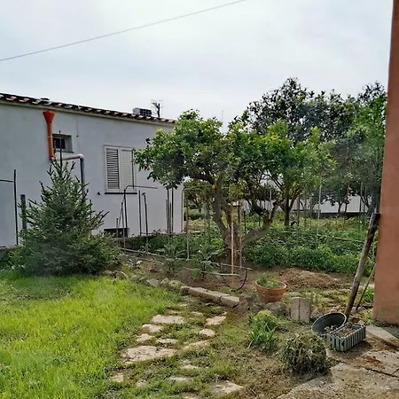 Indipendente Con Giardino Ed Orto * Procida